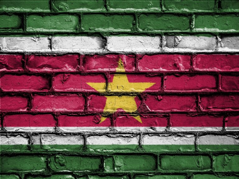 flag, banner, nation, emblem, country, national, patriotic, symbol, patriot, patriotism, wall, suriname, suriname, suriname, suriname, suriname, suriname